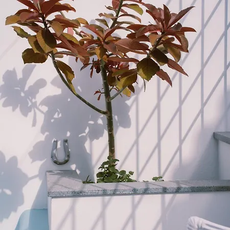 Casa D'Avo - 3Bd Cosy Home