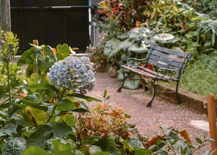 Casa D'avo - 3bd Cosy Casa vacanze